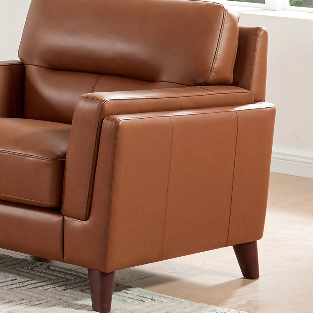 Tampa Top Grain Leather Sofa Collection