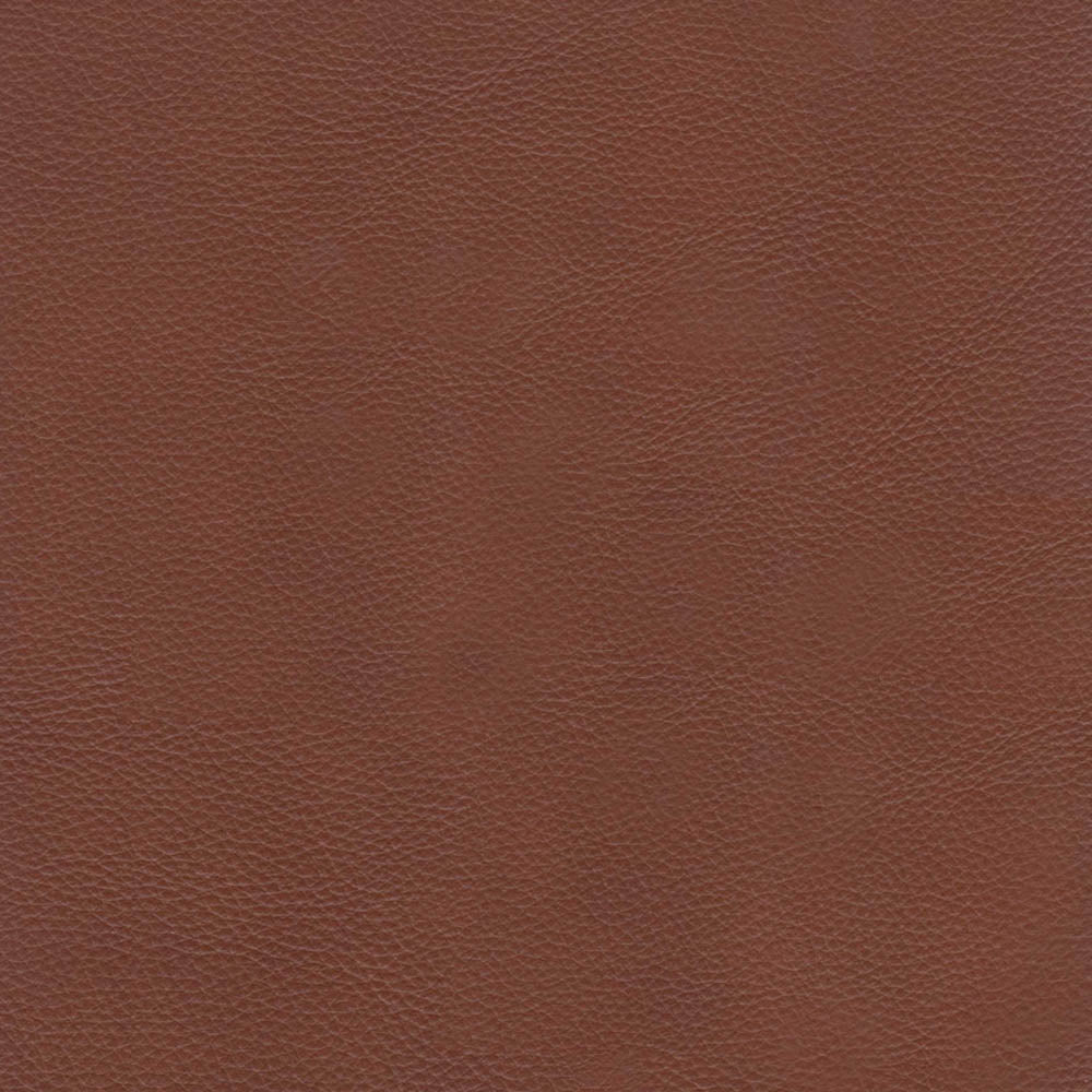 Tampa Top Grain Leather Sofa Collection