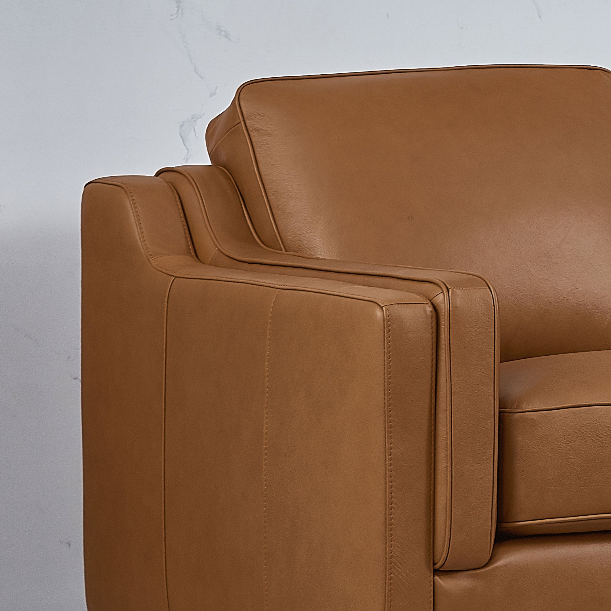 Dobson Top Grain Leather Sofa Collection
