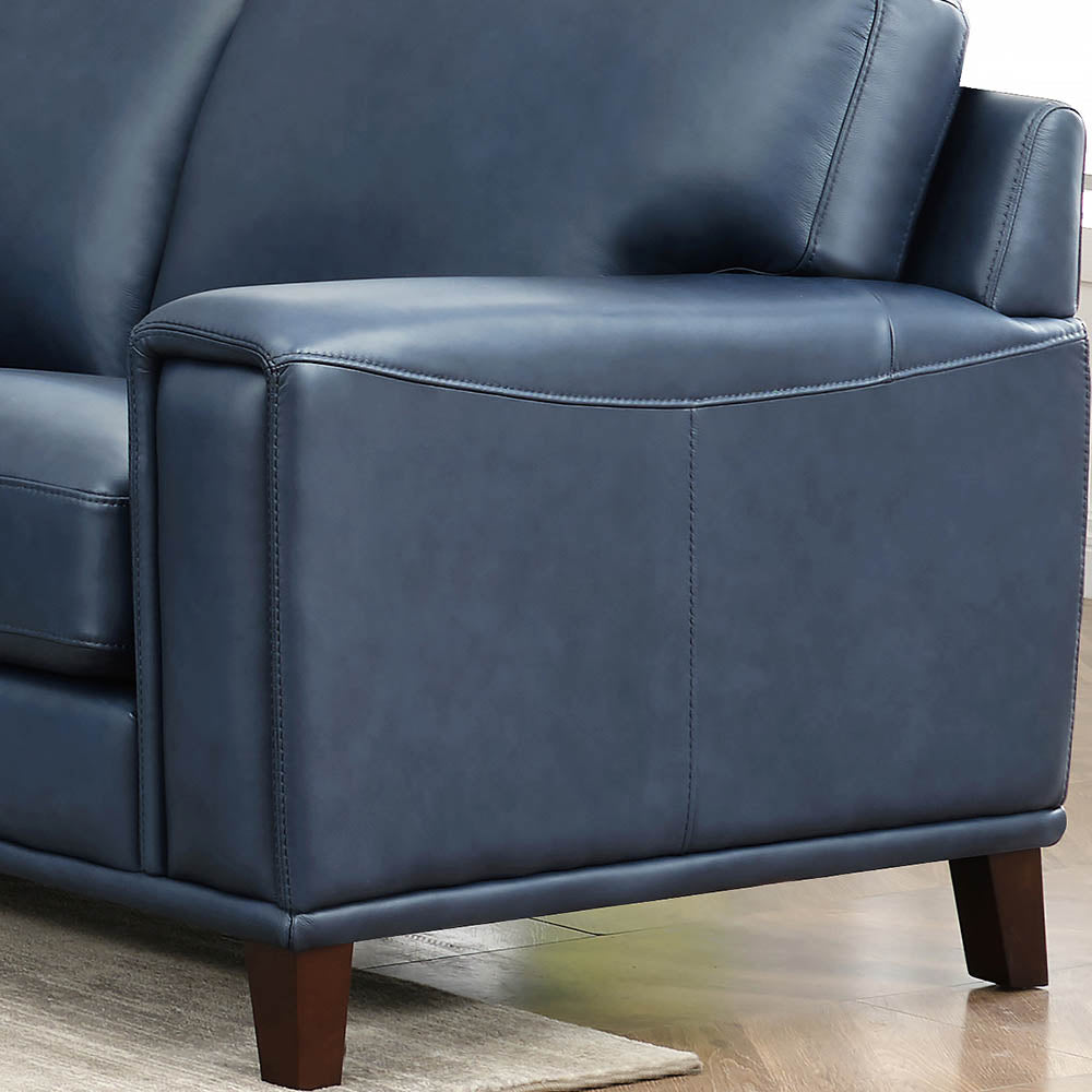 Jensen Top Grain Leather Sofa Collection