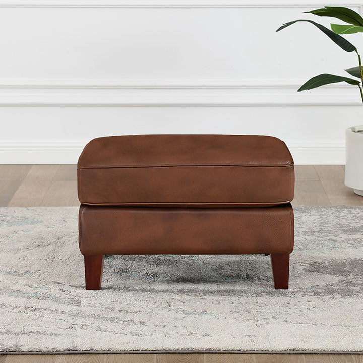Larsen Top Grain Leather Collection