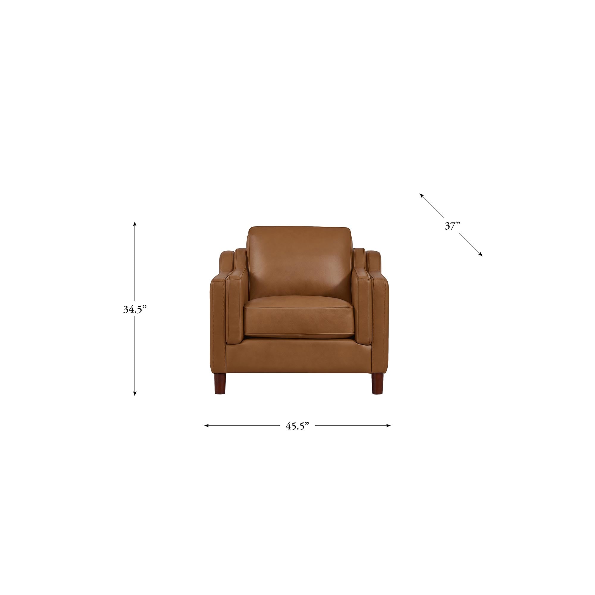 Dobson Top Grain Leather Sofa Collection