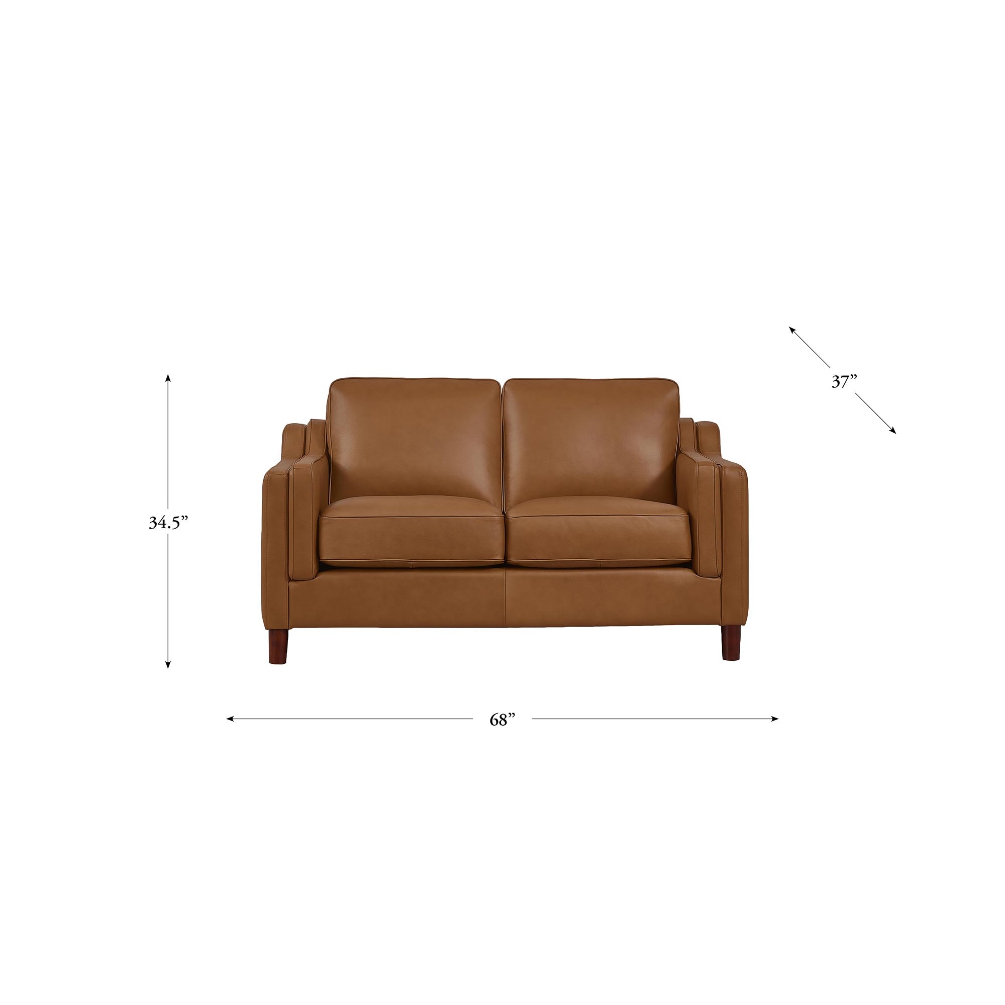 Dobson Top Grain Leather Sofa Collection